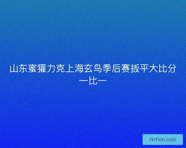 山东蜜獾力克上海玄鸟季后赛扳平大比分一比一
